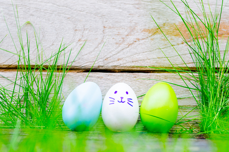 Easter eggs in grass against blurred green background. Spring holidays conceptの写真素材