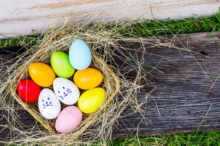 Painted Easter eggs hidden on the grass behind a tree trunk, ready for the easter egg hunt traditional play gameの写真素材