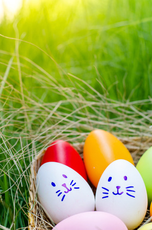 Easter eggs cute bunny. Funny happy in easter day on wood background の写真素材