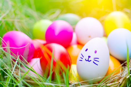 Easter eggs cute bunny. Funny happy in easter day on wood background の写真素材