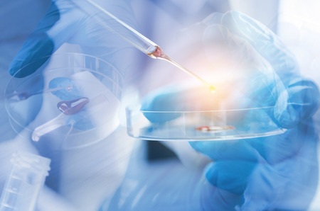 Vacutainer or test tube in lab on tableの写真素材