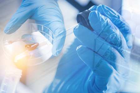 A pipette dropping sample into a test tube,abstract science backgroundの写真素材