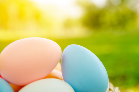 Easter eggs in grass against blurred green background. Spring holidays conceptのeditorial素材