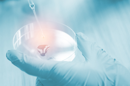 closeup hand of scientist in lab . Hand hold syringe  blood in tube , Testing result  Medical or chemical backgroundの写真素材