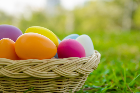 Easter eggs on green grass. Spring holidays conceptの写真素材