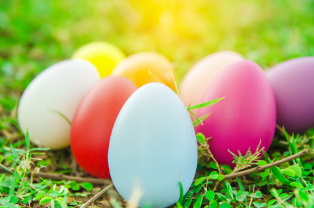Easter eggs on green grass. Spring holidays conceptの写真素材