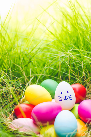 Easter eggs cute bunny. Funny happy in easter day on wood backgroundの写真素材