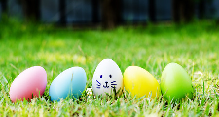 Easter eggs cute bunny. Funny happy in easter day on wood backgroundの写真素材