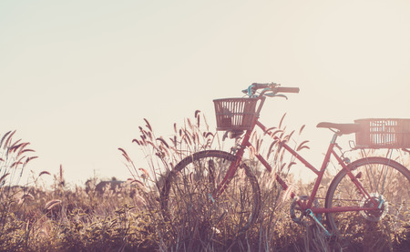 Detail of a Vintage Bicycle Travel Resting iの写真素材