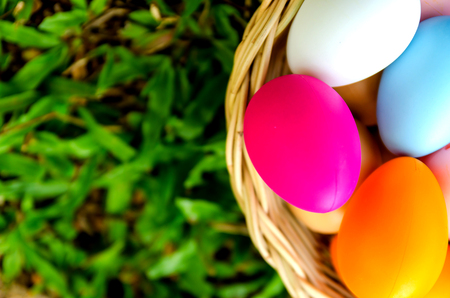 Easter eggs in grass against blurred green background. Spring holidays conceptの写真素材