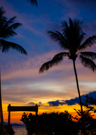 shadow of coconut tree on beachの写真素材