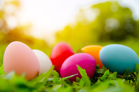 Easter eggs on green grass. Spring holidays conceptの写真素材