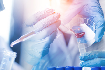A pipette dropping sample into a test tube,abstract science backgroundの写真素材