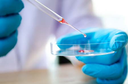 Vacutainer or test tube in lab on tableの写真素材