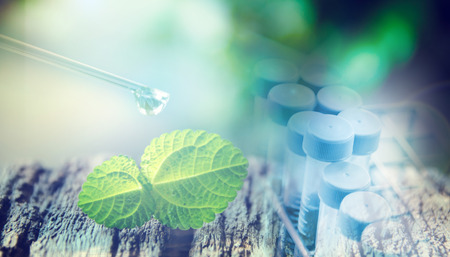 Fresh mint on rustic wooden background,selective focus droping and test tube ,cosmetic ,science conceptの写真素材