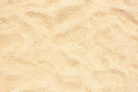 yellow sand beach texture  empty fieldの写真素材