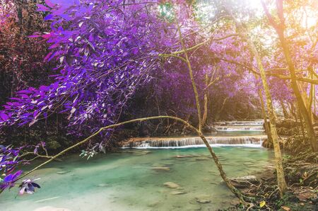 waterfall in deep forest , thailandの写真素材