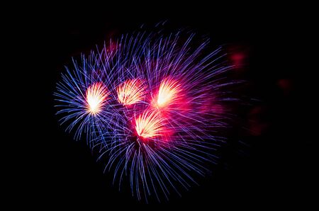 colorful fireworks on the black sky backgroundの写真素材