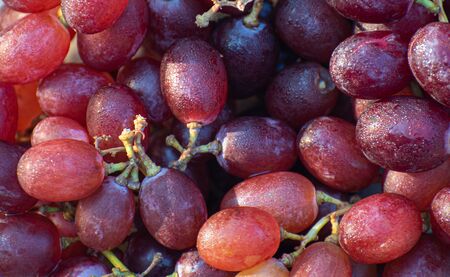 closeup of grape , food background の写真素材
