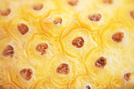 pineapple texture background  , fresh fruitsの写真素材