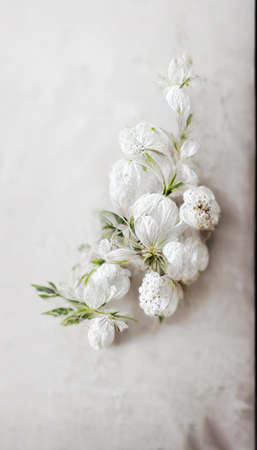 white flower vintage on blur backgroundの写真素材