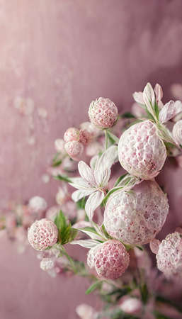Abstract romantic pink flowersの写真素材
