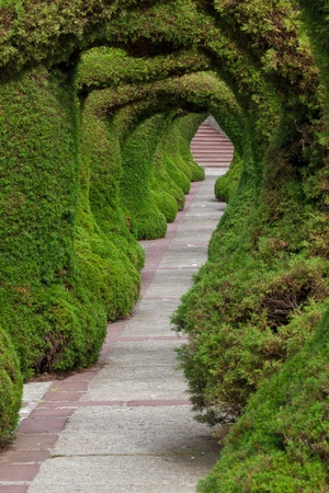 Francisco Alvarado park in Zarcero, Costa Rica, Alajuelaの写真素材
