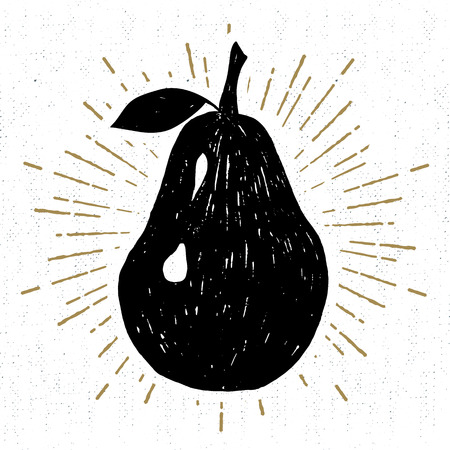 Hand drawn icon with textured pear vector illustration.のイラスト素材