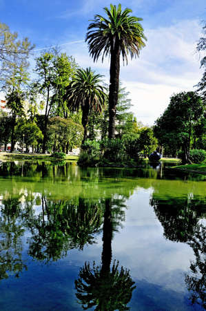 trees lake portugal park green reflection sunlight military outdoorsの写真素材