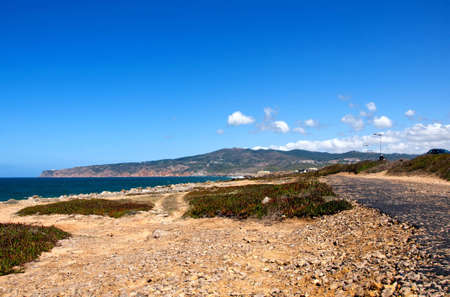Portugal landscape nature sand cliffs bush leavesの写真素材