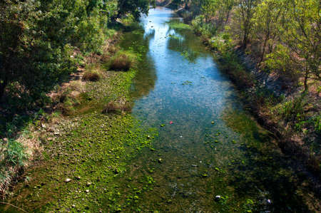 place to relax in the parks on the lawn by the river Portugalの写真素材