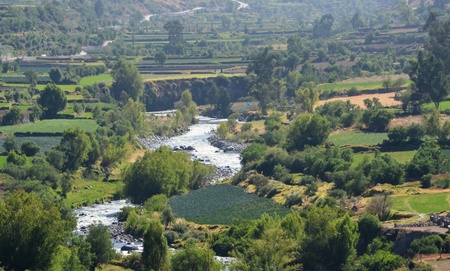 Colca Valley, Arequipa - Peru