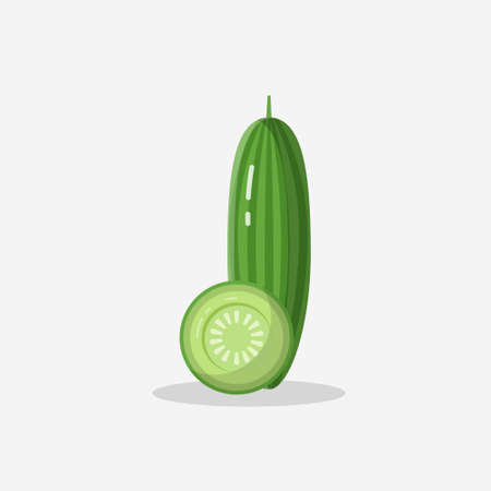 cucumber illustration with flat style, slice cucumber vector, cucumber isolated designのイラスト素材