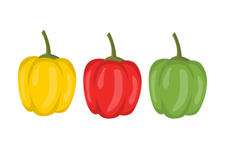 paprika illustration with simple style, red paprika, yellow paprika, green paprika, paprika vector on white backgroundのイラスト素材