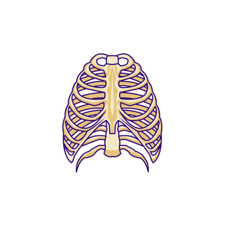vector stock illustration acid liquid inside human stomach, stomach isolated designのイラスト素材