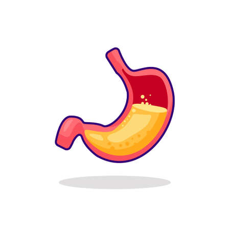 vector stock illustration acid liquid inside human stomach, stomach isolated designのイラスト素材