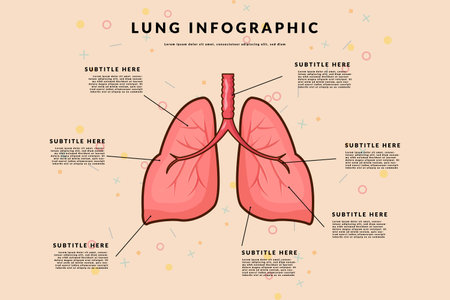 lung organ infographic  vector template concept with simple layoutのイラスト素材