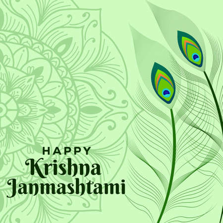 happy krishna Janmashtami illustration with peacock featherのイラスト素材