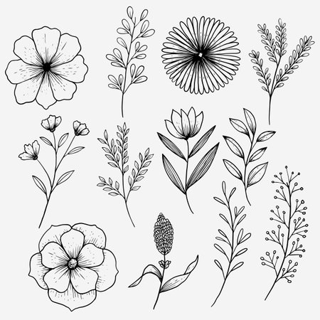 hand drawn flower design vector outline illustration setのイラスト素材