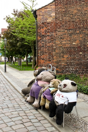 teddy bearsの写真素材