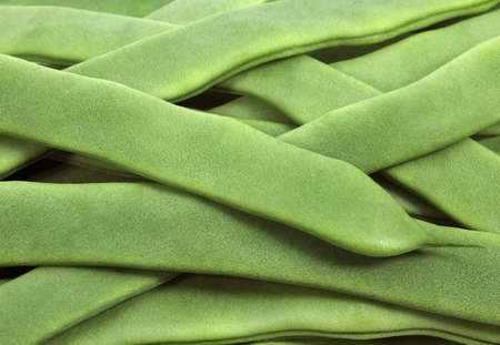 French Bean called Coco Plat, phaseolus vulgaris