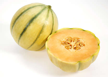 Cavaillon Melon, cucumis melo, Fruits against White Backgroundの写真素材