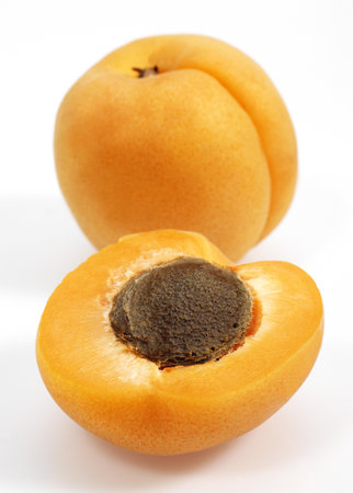 Apricots, prunus armeniaca against White Backgroundの写真素材