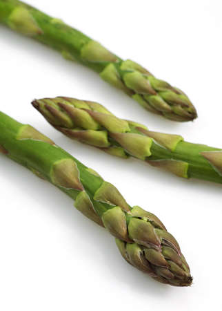 Green Asparagus, asparagus officinalis against White Backgroundの写真素材