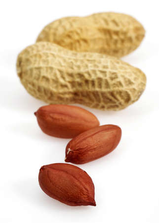 Peanuts, arachis hypogaea against White Background