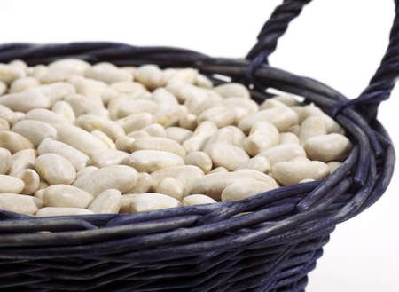 French Beans called Mogette de Vendee, phaseolus vulgaris, Beans against White Background