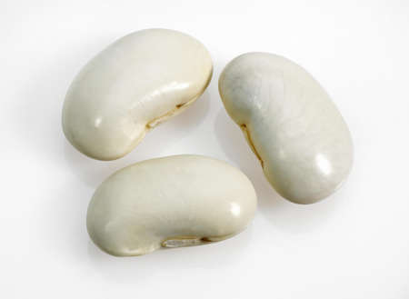 French Beans called Soissons Beans, phaseolus vulgaris against White Background