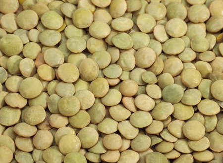 French Lentils called Saint Flour Blond Lentils, lens esculenta