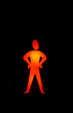 Pedestrian Traffic Light