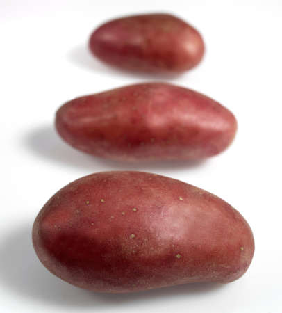 Roseval Potato, Solanum tuberosum, Vegetables against White Backgroundの写真素材
